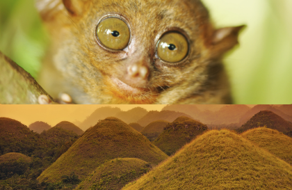 Bohol Countryside Tour (Chocolate Hills & Tarsier)